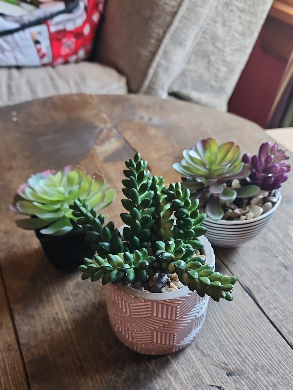 Set of 3 faux Succulents
